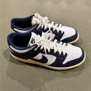 Nike Navy Dunks